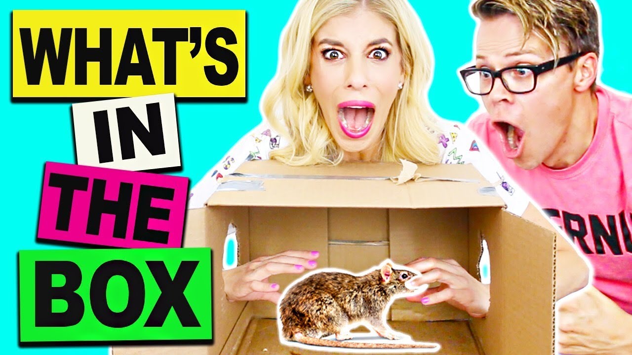 What's In The Box Challenge Gone Wrong  *Live Animals*