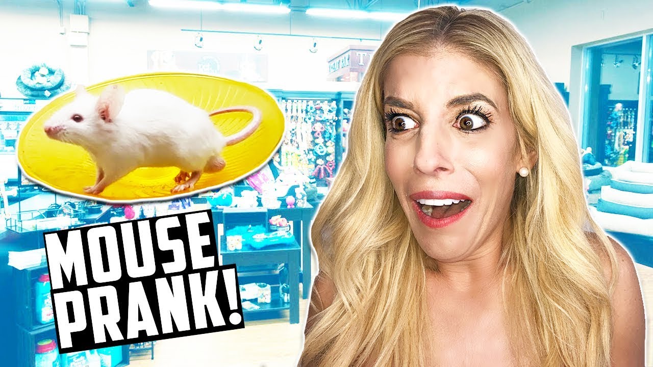 PRANKING WIFE WITH REAL LIVE MOUSE! (DAY 294) Not Clickbait!