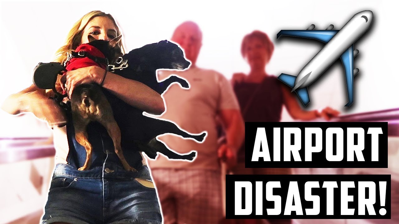 AIRPORT DISASTER WITH OUR DOGS! (Traveling is a challenge)