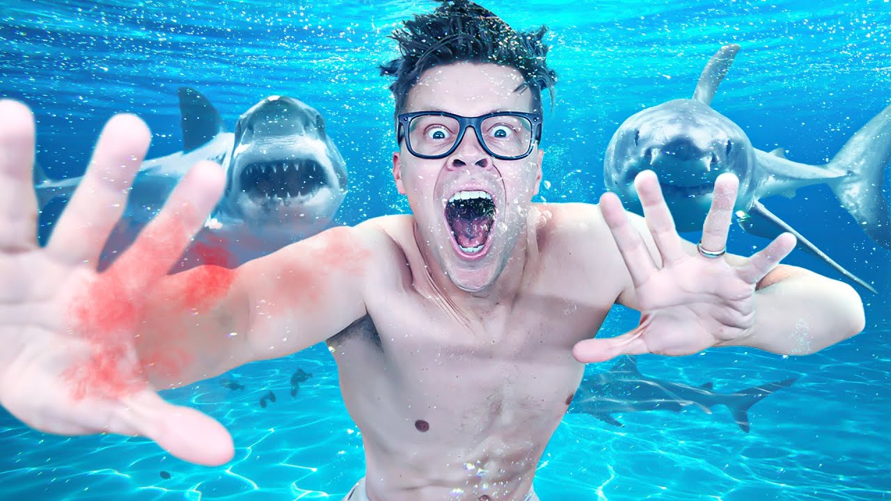 Busting My Fear of Swimming With Sharks